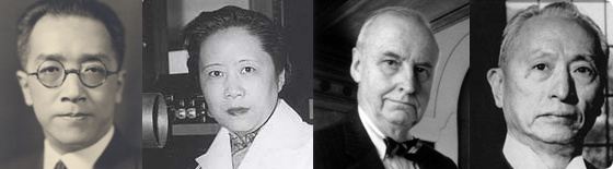 Chinese Connection Montage